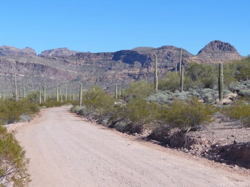 I just got back from a two day ride to the Organ Pipe Nat'l Monument