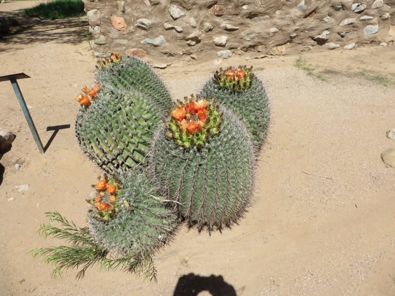 I ride through the Globe/Miami of AZ all the time but never stop for more than a bite to eat or fuel. I needed to take a little break so I decided it would be fun to just check it out without being in a hurry. Here are a few pics from the area.