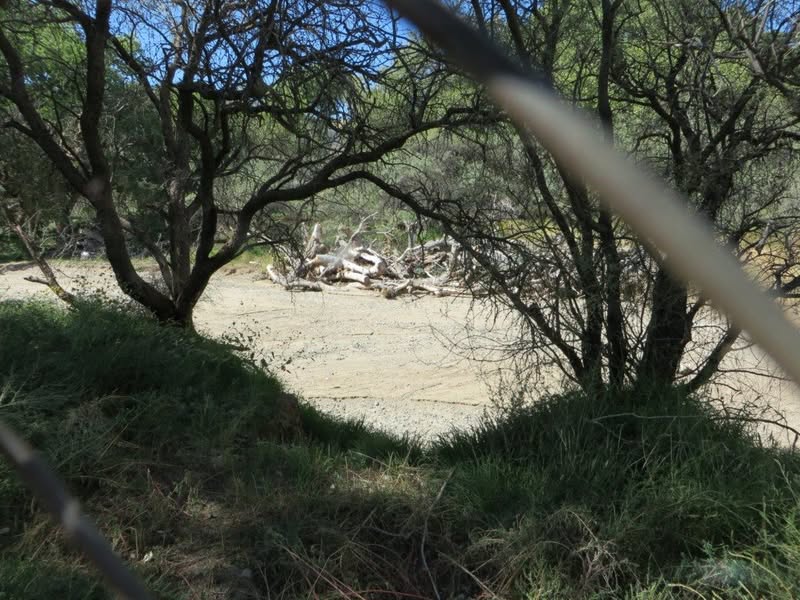 I sort of repeated my ride from last week with different people, and saw a few different things. Of course they may be surprised to find out that they are different. :)