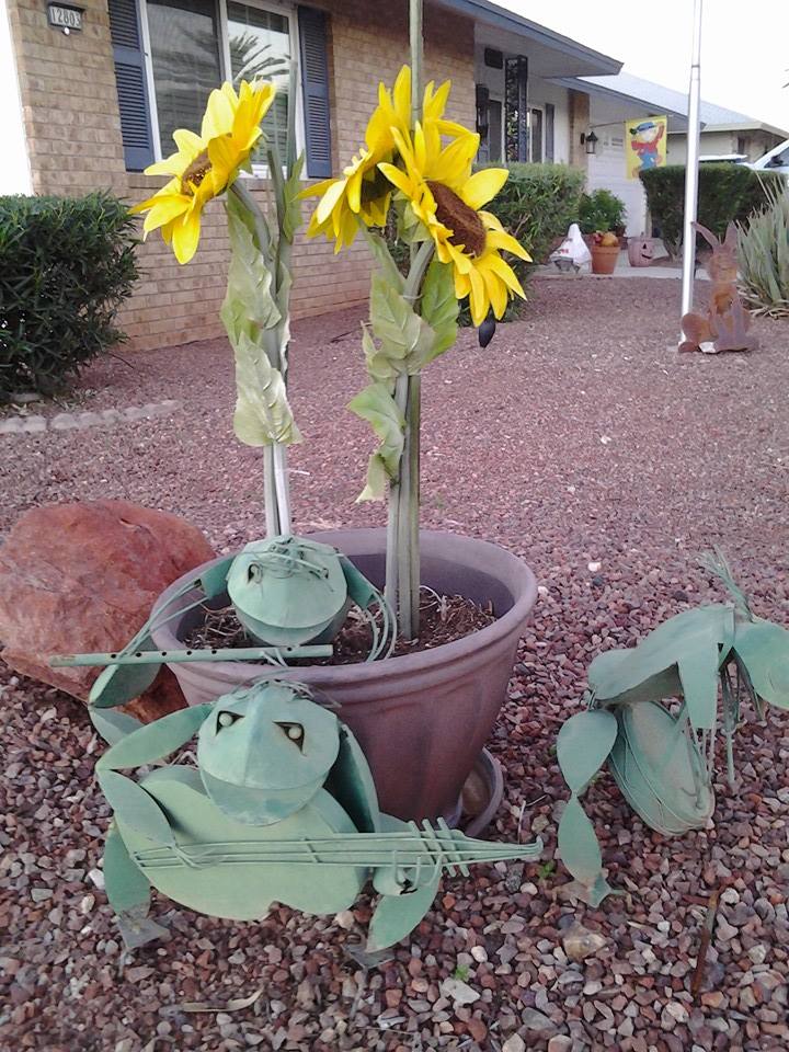 Out for my morning walk and with this Arizona spring weather even th