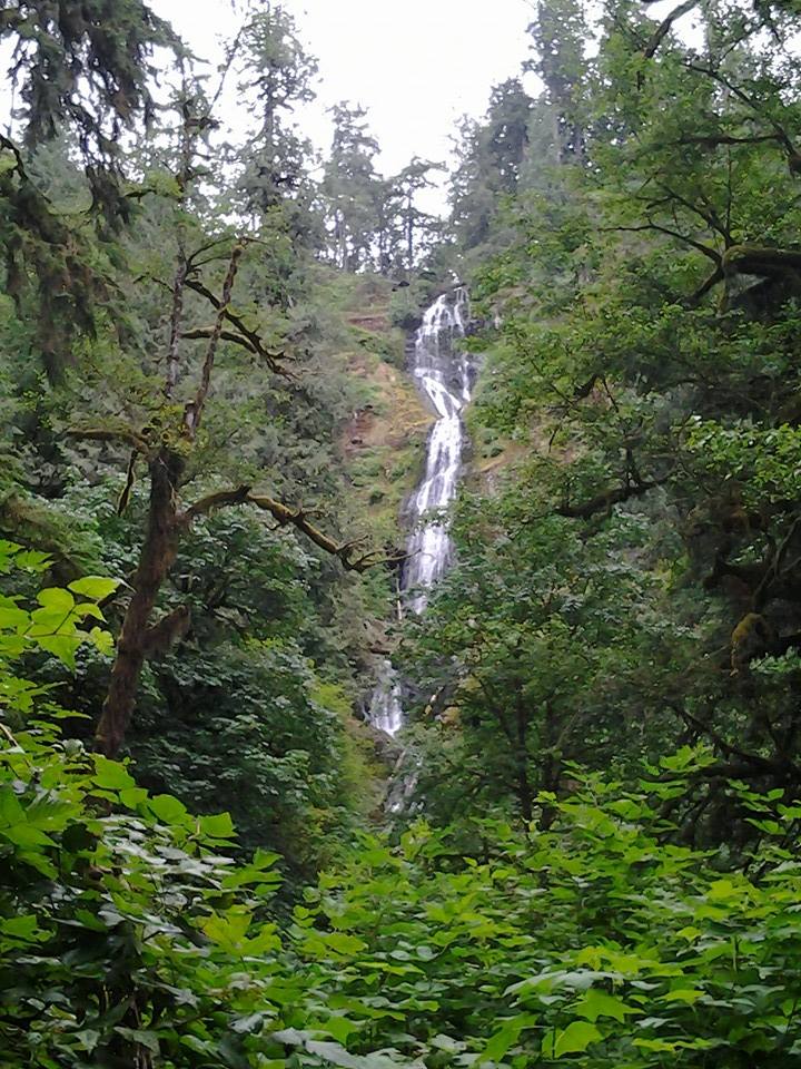 I stopped by here yesterday but forgot my camera. Then I remembered 