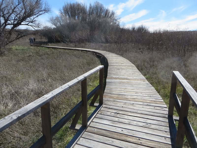 I needed to get out of Dodge for a couple of days so I headed south of Tucson to one of my favorite roads. Not only is it a very fun road to ride, but you feel like it is 1910 or so. Here are a few pictures along the way.