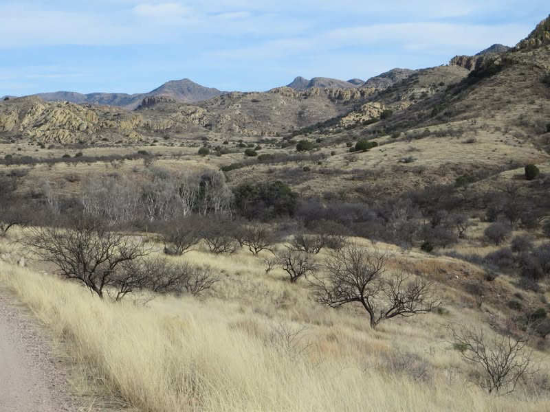 Jim Ayers, I took my Versys back to Tucson and rode into Arivaca Lake. Here are a couple of pictures of the area. Very nice area to camp with clean Elanor's. The Buenas Aires wildlife area is day use only, but easy access. I would have taken more pictures, but forgot to charge my camera battery.