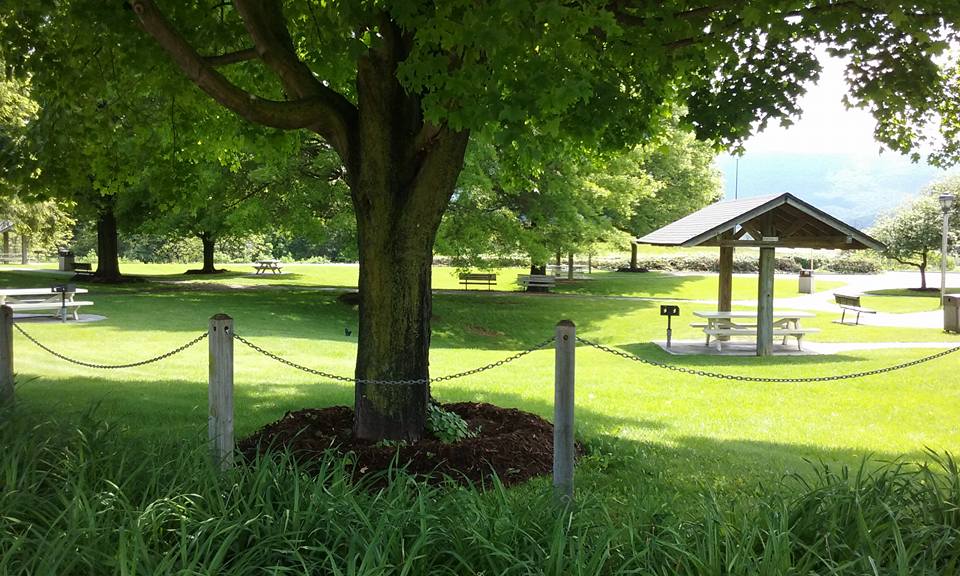The rest stops out east are beautiful this one's in Harrisburg Virgi