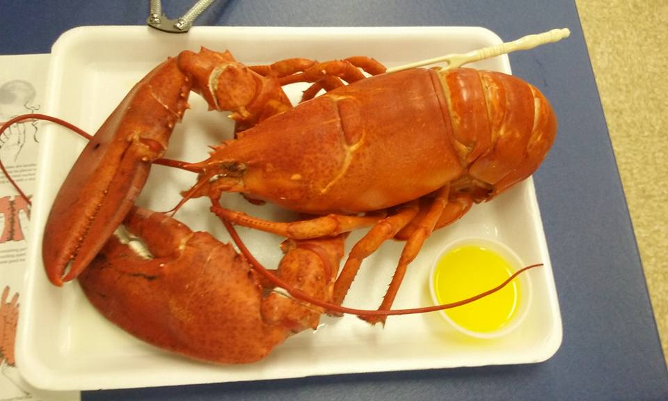 For some reason I thought it would be ready to eat :-) at least they