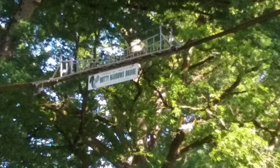 One of six squirrel bridges erected in Longview,  WA. Some old timer