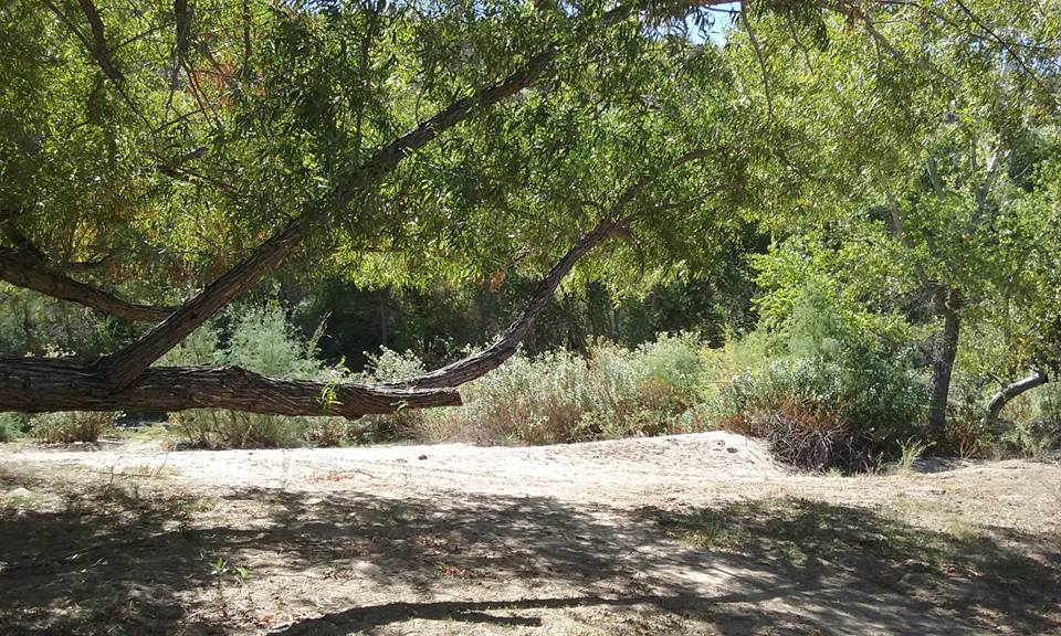 This rest stop near Wickenburg, AZ is one of the few places where th
