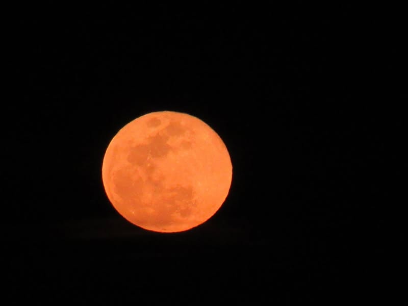 Nice moon tonight!