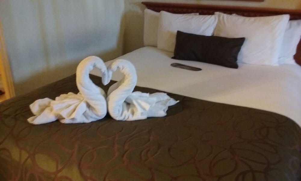 Just checked in and got attacked by a couple of swans. 😆