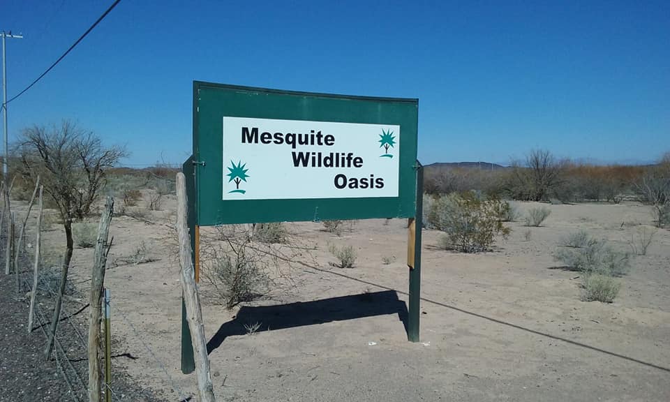 I took a much needed ride today just to get myself depressurized! I rode out by the Palo Verde nuclear generating plant.  Took a couple of side roads I haven't been on before.