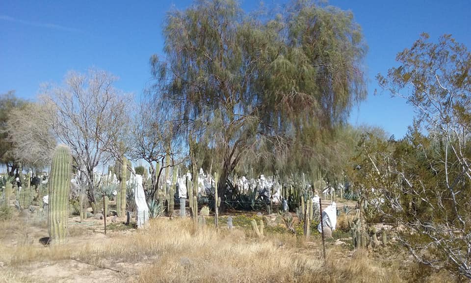 I took a much needed ride today just to get myself depressurized! I rode out by the Palo Verde nuclear generating plant.  Took a couple of side roads I haven't been on before.