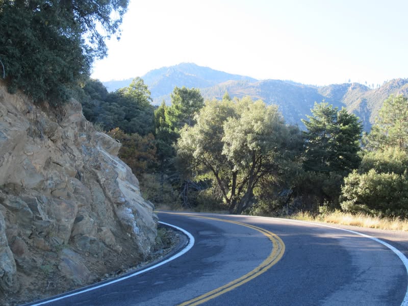 I've been riding past Mt. Graham for the past 16 years and always thought it was just a little bump on the desert floor of little significance. A while back while looking at an AZ highway map I noticed there was a road to near the top. As it turns out, the mountain is 10,720' tall and goes from desert cactus to Pine forest. It also went from 83 degrees to 57 degrees.