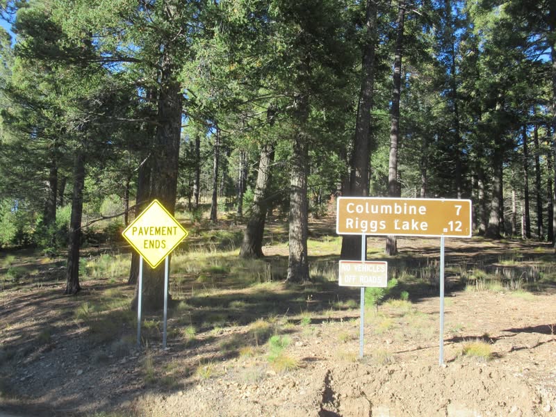 I've been riding past Mt. Graham for the past 16 years and always thought it was just a little bump on the desert floor of little significance. A while back while looking at an AZ highway map I noticed there was a road to near the top. As it turns out, the mountain is 10,720' tall and goes from desert cactus to Pine forest. It also went from 83 degrees to 57 degrees.