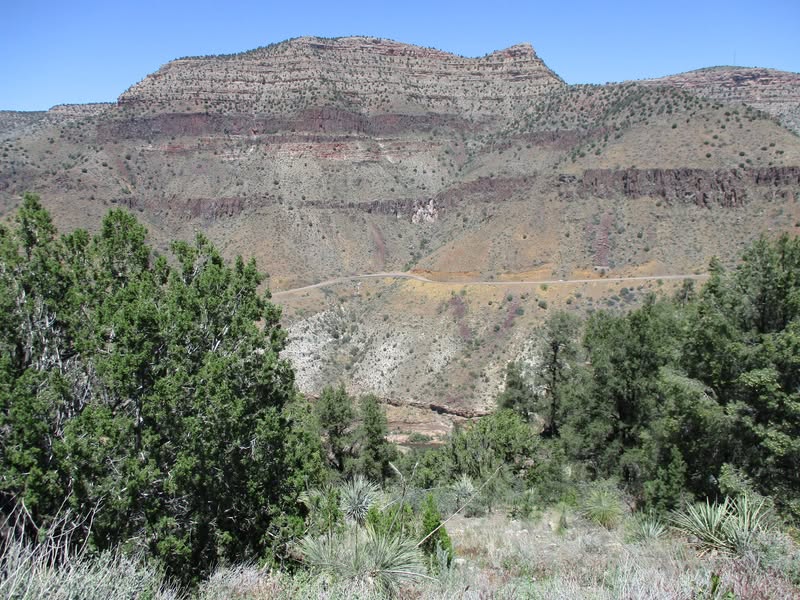 I needed to beat the heat this weekend so decided to head ujp to Springerville. 7,000' elevation. A fun, beautiful ride, but next time I'll take at least three days and explore a little more while there.