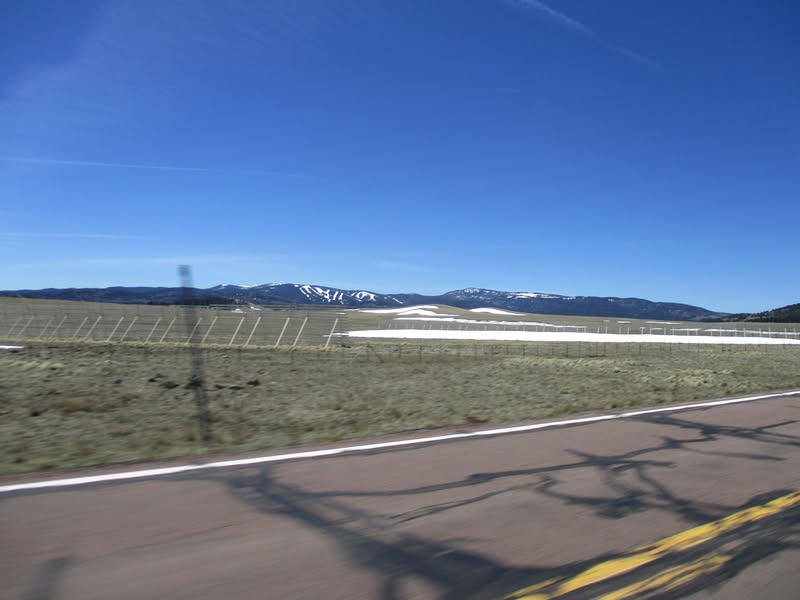 I needed to beat the heat this weekend so decided to head ujp to Springerville. 7,000' elevation. A fun, beautiful ride, but next time I'll take at least three days and explore a little more while there.