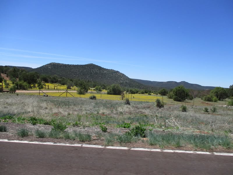 I needed to beat the heat this weekend so decided to head ujp to Springerville. 7,000' elevation. A fun, beautiful ride, but next time I'll take at least three days and explore a little more while there.
