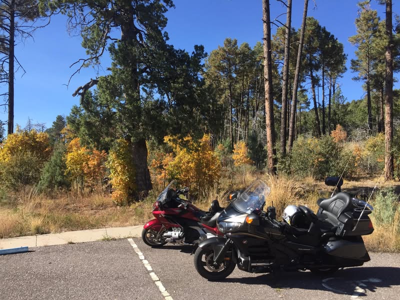 So many of my friends have been posting incredible fall colors lately. I rode Hwy 191 yesterday and took these pictures while waiting for my friends to catch up. 😂😂