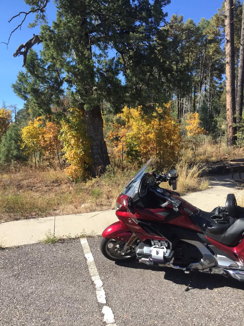 So many of my friends have been posting incredible fall colors lately. I rode Hwy 191 yesterday and took these pictures while waiting for my friends to catch up. 😂😂