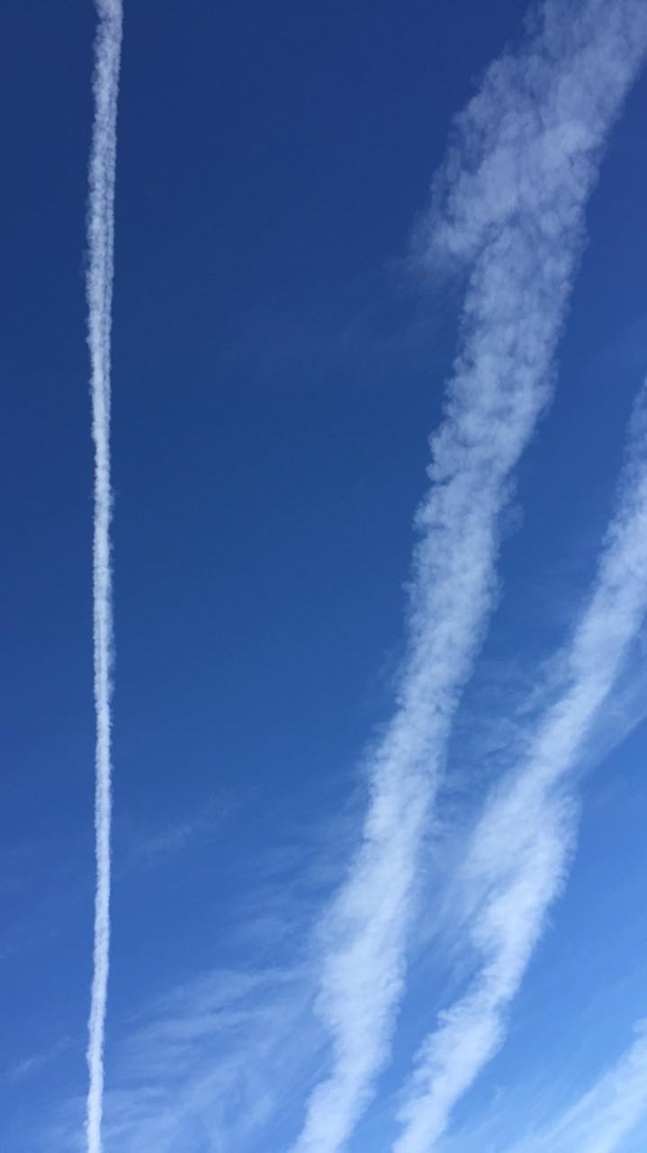 Lots of conspiracies out there today.