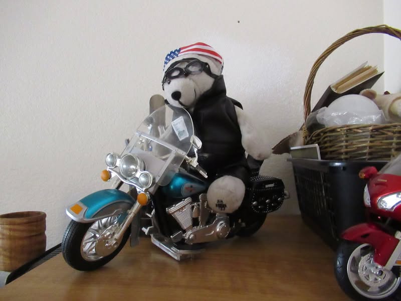 Yea!, Day 10 of the foto challenge. That's all folks!!!  :) :) :)