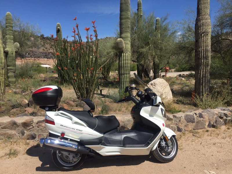 When I got tired of doing nothing I rode down to Burro Creek Campground where I found Sherm and Craig who were having nothing to do with nothing.
