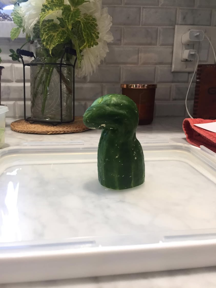I would never ever ever ever ever even take a taste of a cucumber, but I did photograph one.