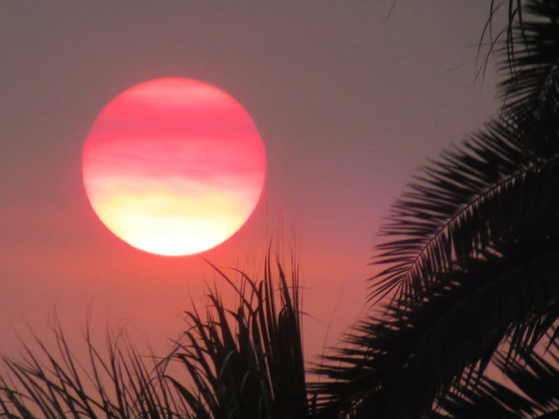 There is a fire in California that had sent a rather dense haze over the State of Arizona. However, it did make for an interesting sunset!