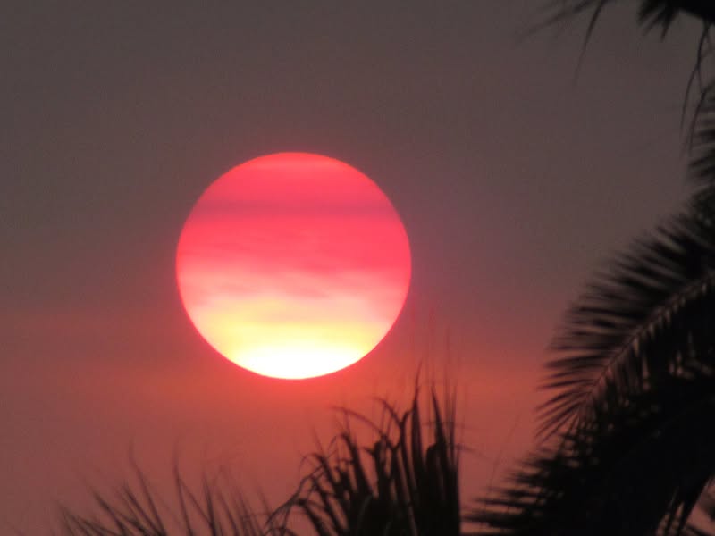 There is a fire in California that had sent a rather dense haze over the State of Arizona. However, it did make for an interesting sunset!