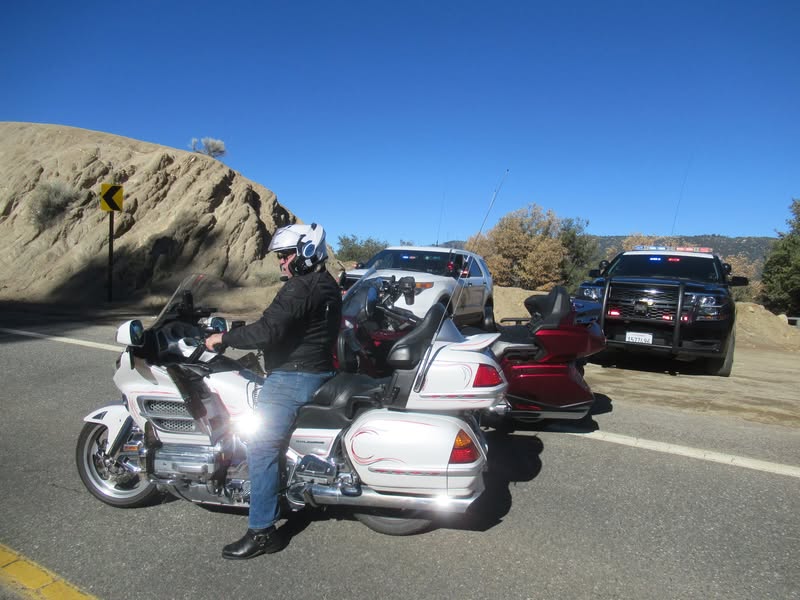 Rocky and I out for a little ride today. 400 miles of either splitti
