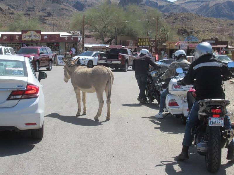 A little ride to visit Sherm in Kingman. Captions under some of the pics.