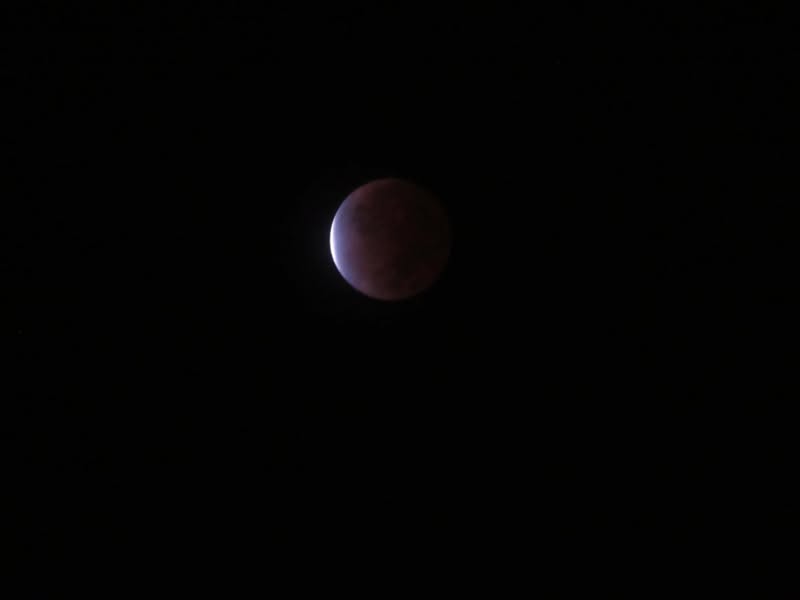 I was up at 2:00 am this morning.