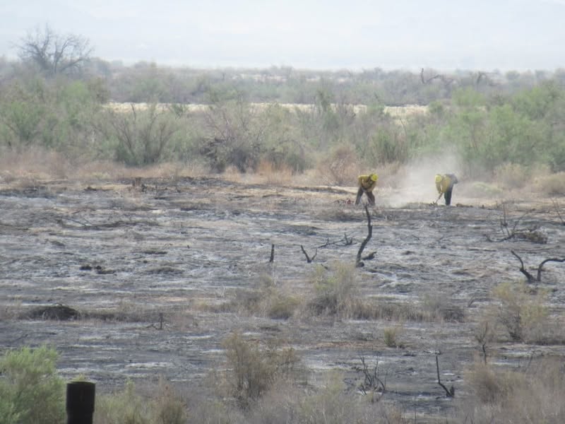 Watching the local news this morning and it looks like we have several wild fires going here in AZ. I noticed that one of them is near a place that a lot of guys like to ride through so I decided to go check it out.