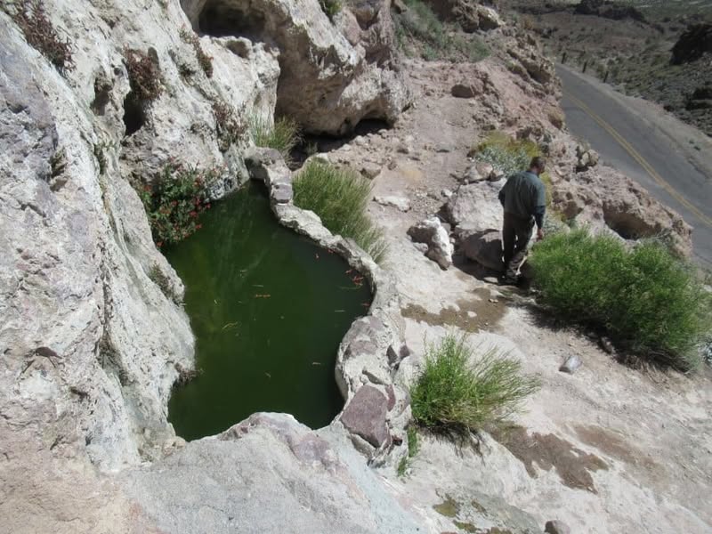 Fun day today. I was going to ride with the group, but I really wanted to see the little burro that Sherm had told me about in Oatman, AZ. A couple of my other friends also wanted to see him, so off we went.
