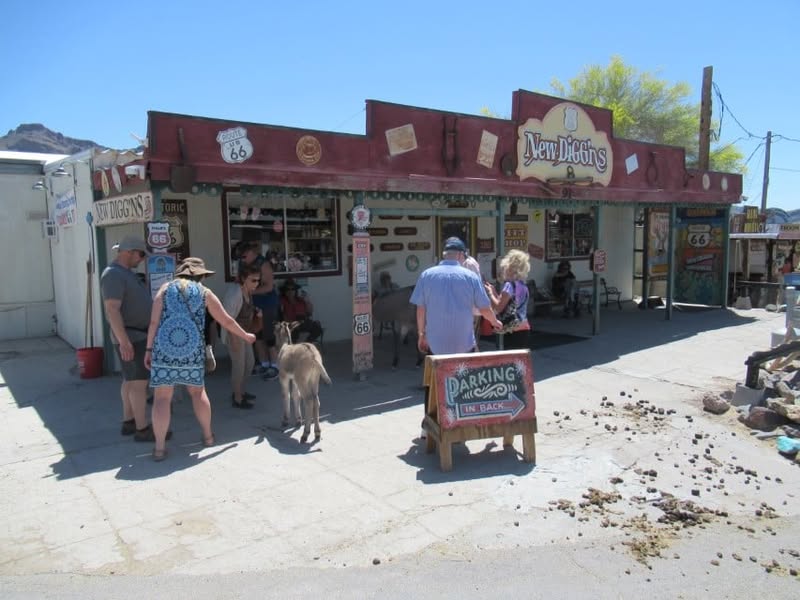 Fun day today. I was going to ride with the group, but I really wanted to see the little burro that Sherm had told me about in Oatman, AZ. A couple of my other friends also wanted to see him, so off we went.