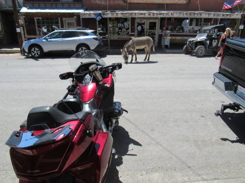 Fun day today. I was going to ride with the group, but I really wanted to see the little burro that Sherm had told me about in Oatman, AZ. A couple of my other friends also wanted to see him, so off we went.