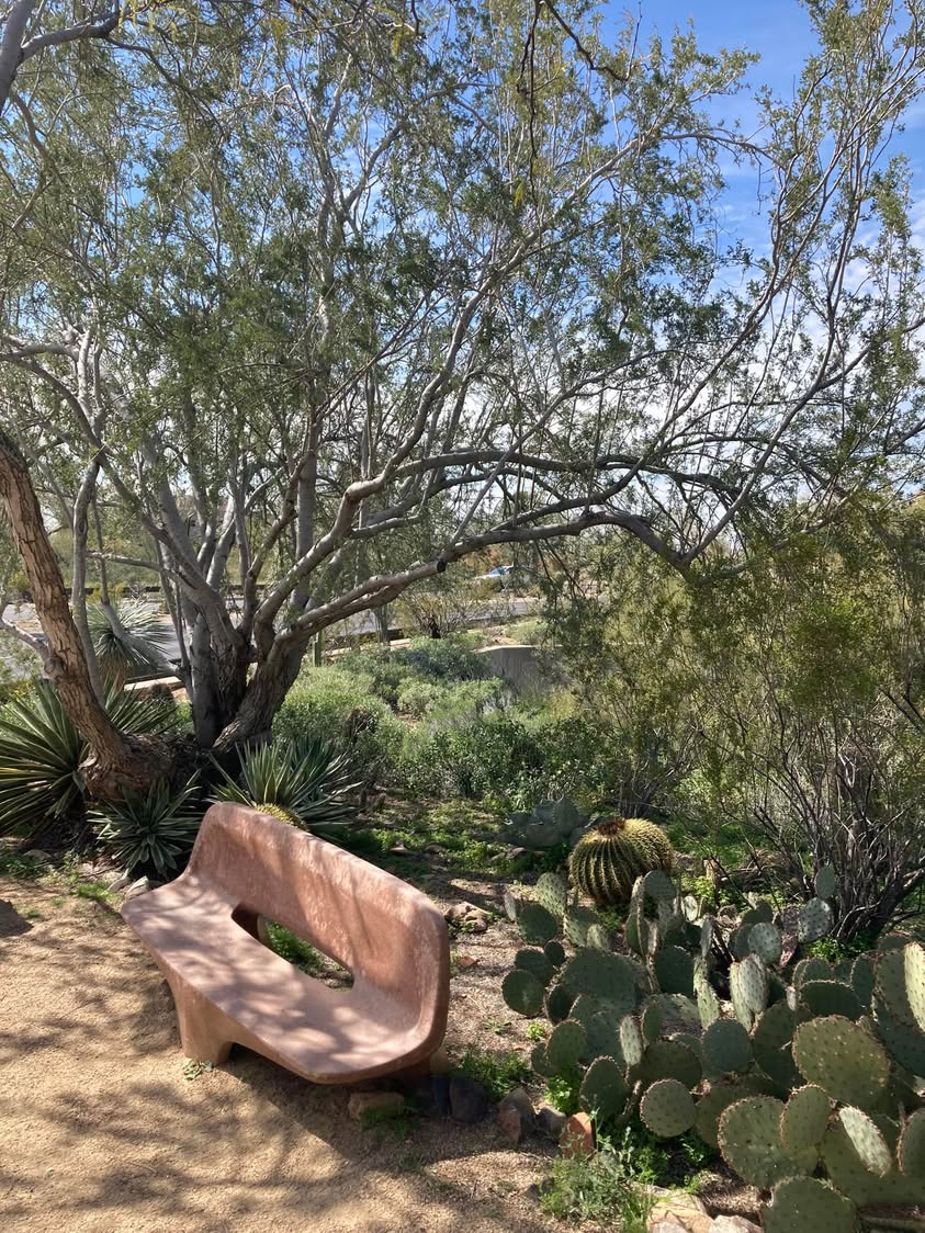 A friend asked me to drive them to the Mayo Clinic today and I had a little time to kill. On the way in I spotted a nature trail sign so I spent an hour and a half enjoying the walk and views.