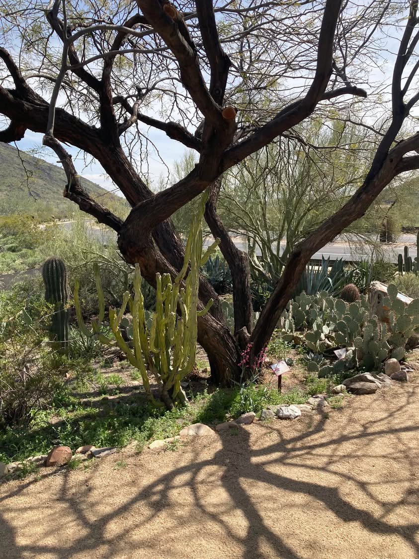 A friend asked me to drive them to the Mayo Clinic today and I had a little time to kill. On the way in I spotted a nature trail sign so I spent an hour and a half enjoying the walk and views.
