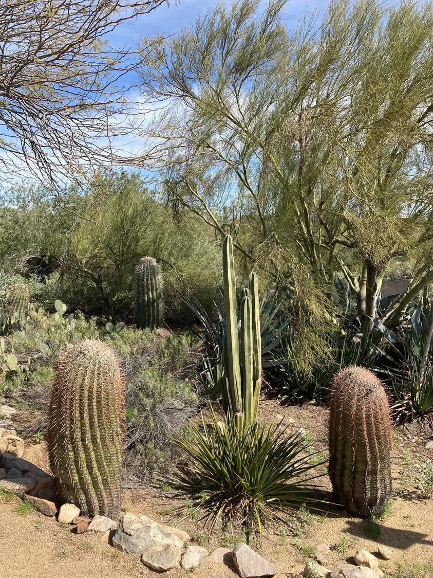 A friend asked me to drive them to the Mayo Clinic today and I had a little time to kill. On the way in I spotted a nature trail sign so I spent an hour and a half enjoying the walk and views.