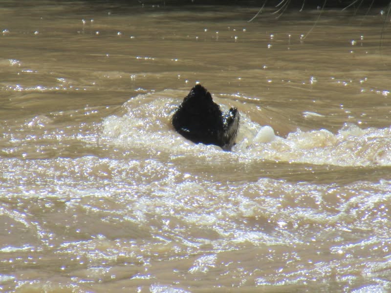 A fun little ride to check out the stream flows in our normally dry river beds.