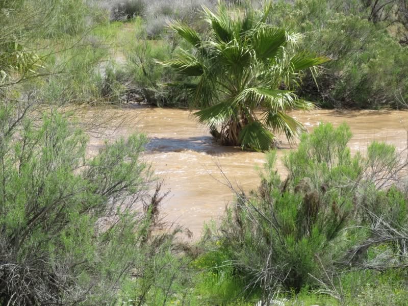 A fun little ride to check out the stream flows in our normally dry river beds.