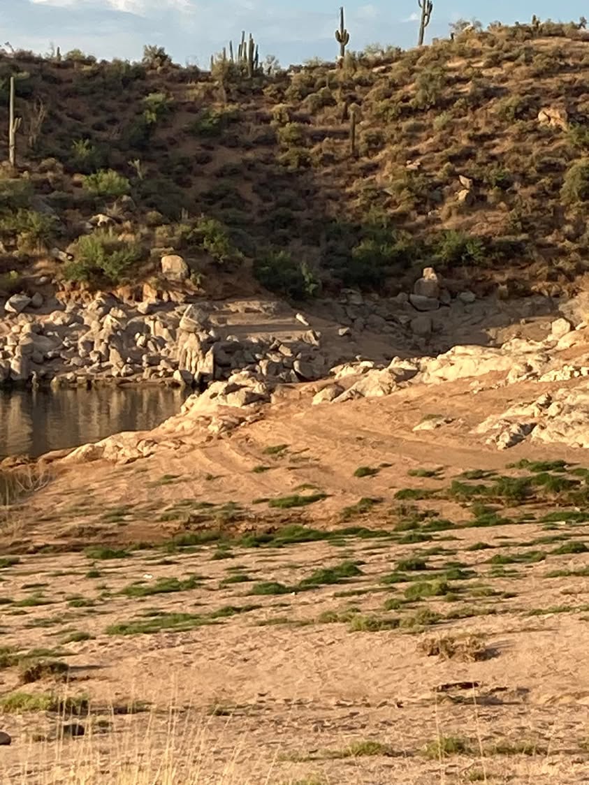 Jim and I rode out to Bartlett Lake this morning hoping to enjoy a ride and beat the heat. The lake is a good thirty feet down from the last time I visited. Beating the heat was just a pipe dream, it didn’t happen.