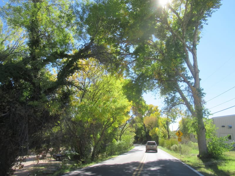 Beautiful tree colors along the way.