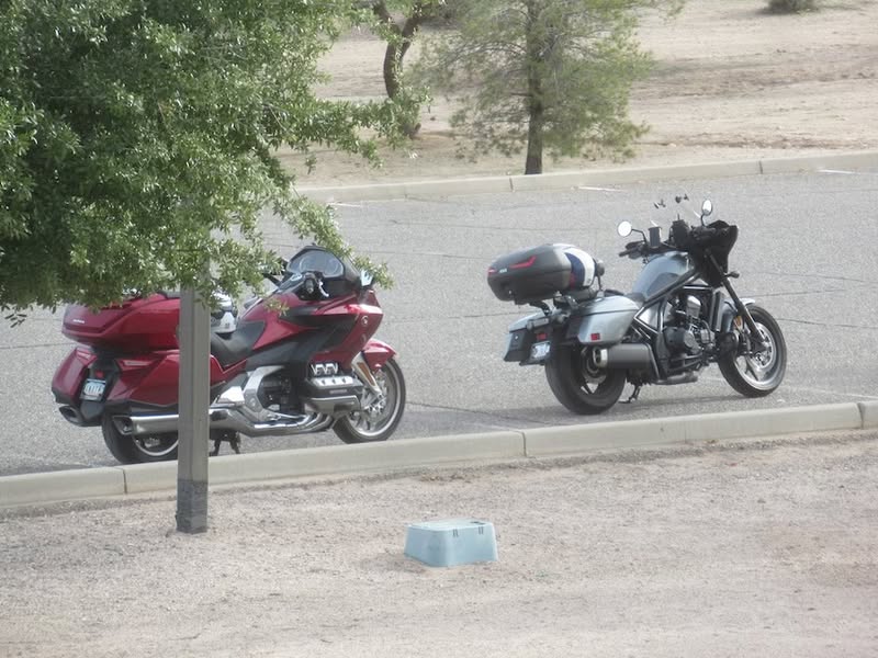 I parked way back thinking all of the others would go forward behind the leaders