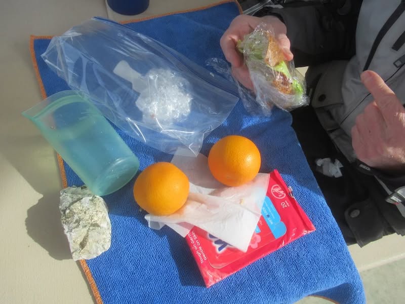 Looks like everyone has and orange tree in their yard.