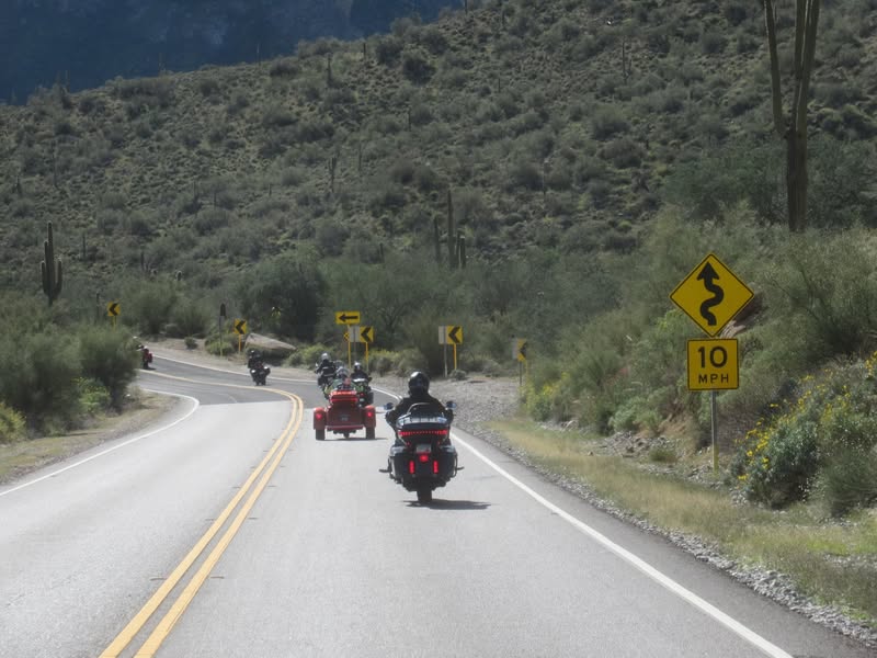 Ironhorses were all we saw today.