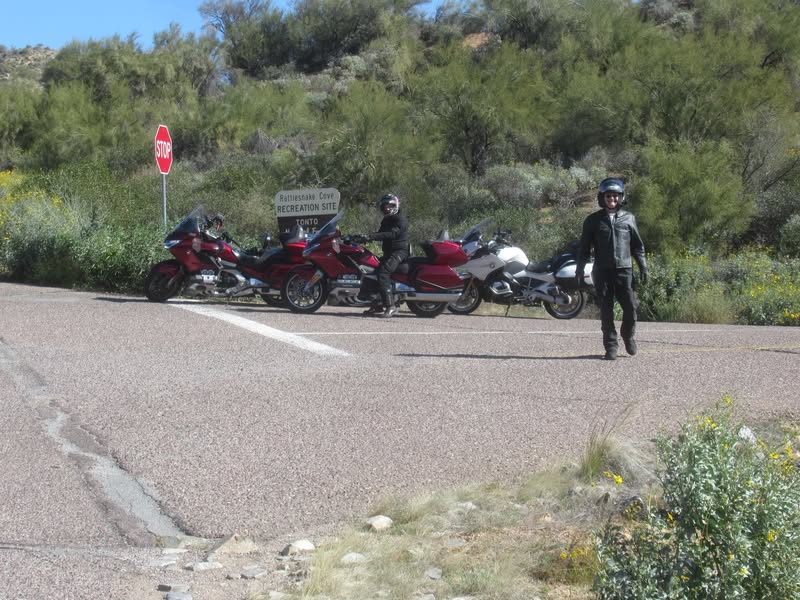 Even the bikes are like flowers in the landscape.