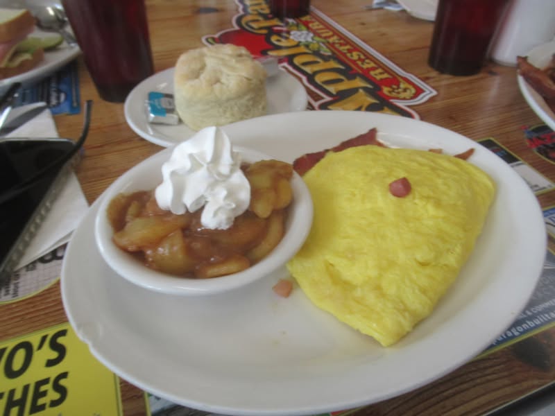 So I settled on this low carb omelette and look what they put on the plate. What is it about the bes