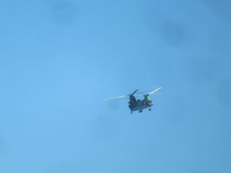 This chopper landed while we were eating.