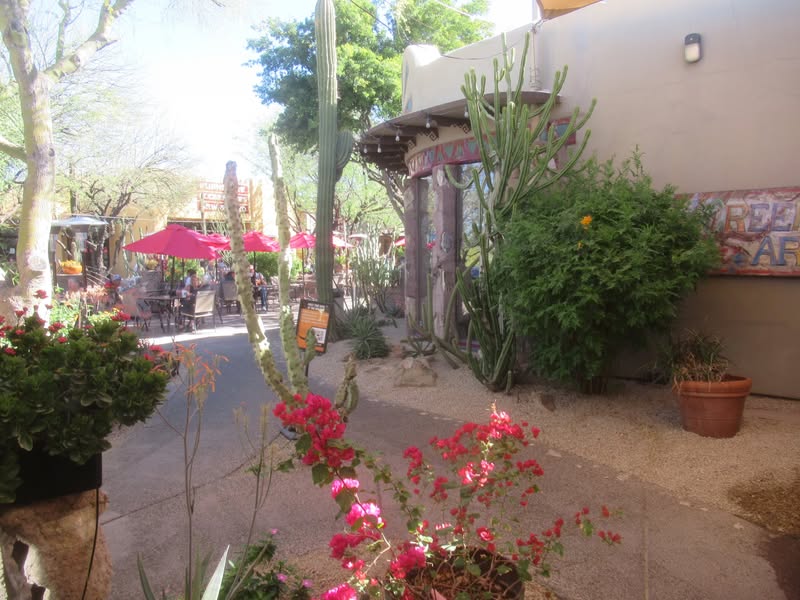 While we ate inside out of the early heat and sun, the outside garden setting looks inviting too.