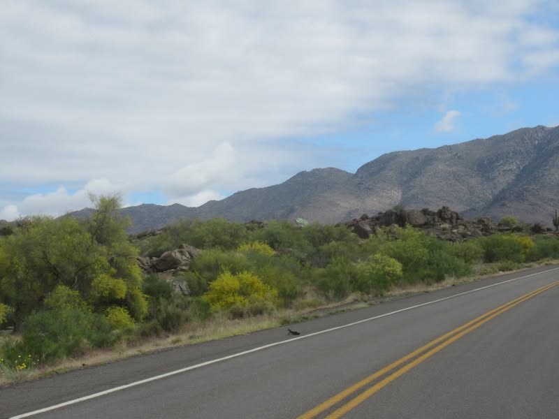 Riding through Frog canyon on the way out of Congress.